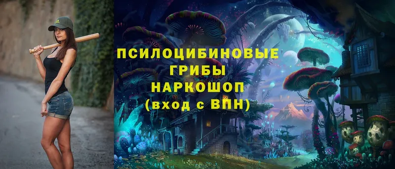 ссылка на мегу сайт  Собинка  Галлюциногенные грибы Cubensis 